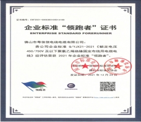 企業(yè)標(biāo)準(zhǔn)“領(lǐng)跑者”證書