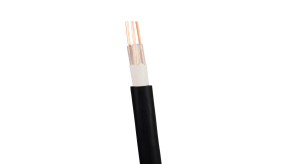 YJY電力電纜中的22和33是什么意思