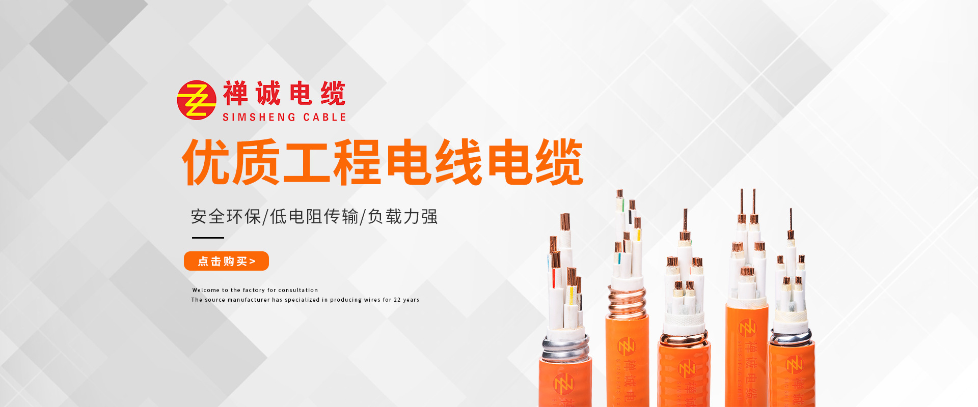 禪誠電纜海報